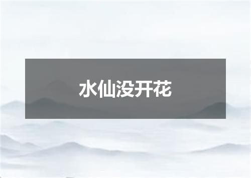 水仙没开花