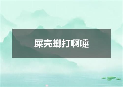 屎壳螂打啊嚏