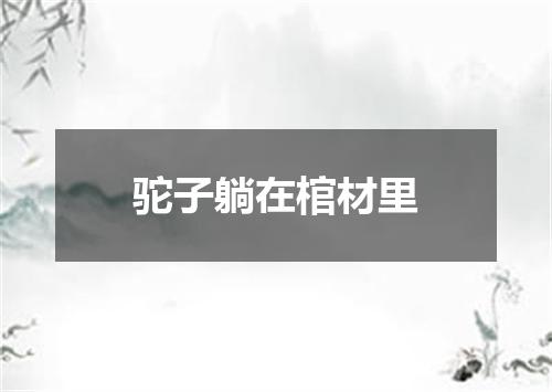 驼子躺在棺材里