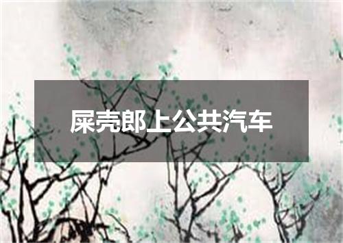 屎壳郎上公共汽车