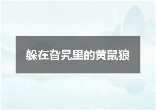 躲在旮旯里的黄鼠狼