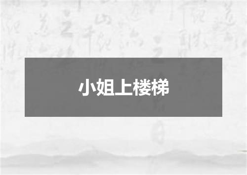 小姐上楼梯