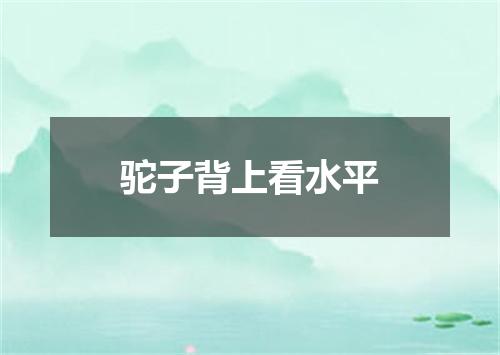 驼子背上看水平