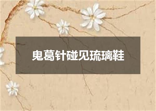 鬼葛针碰见琉璃鞋