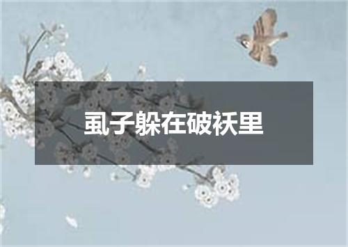 虱子躲在破袄里