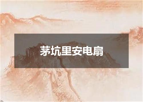 茅坑里安电扇