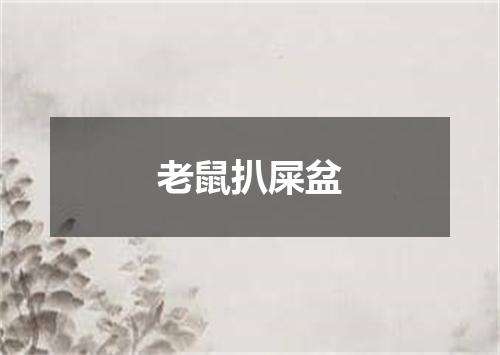 老鼠扒屎盆