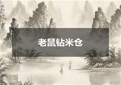 老鼠钻米仓