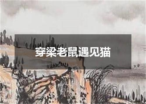 穿梁老鼠遇见猫