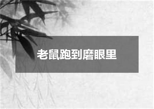 老鼠跑到磨眼里
