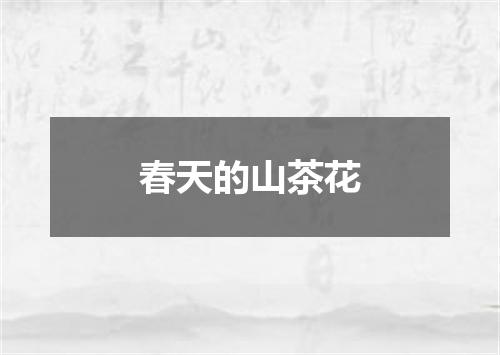 春天的山茶花