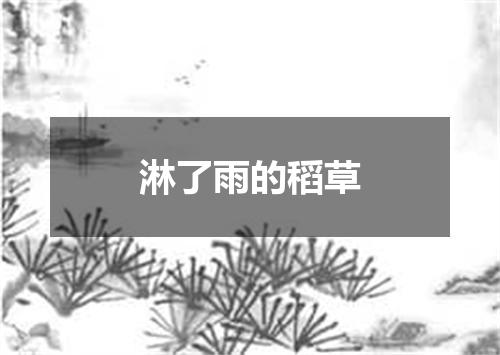 淋了雨的稻草