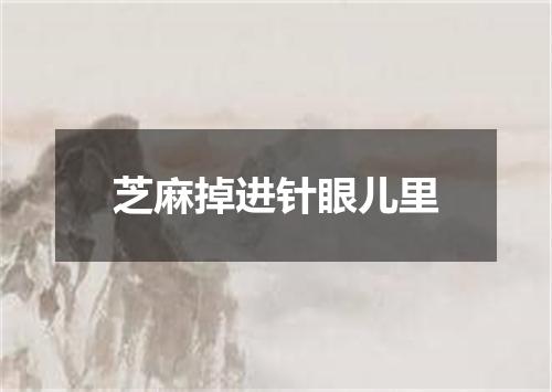 芝麻掉进针眼儿里