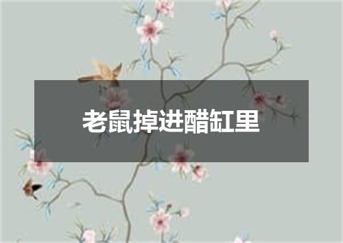 老鼠掉进醋缸里