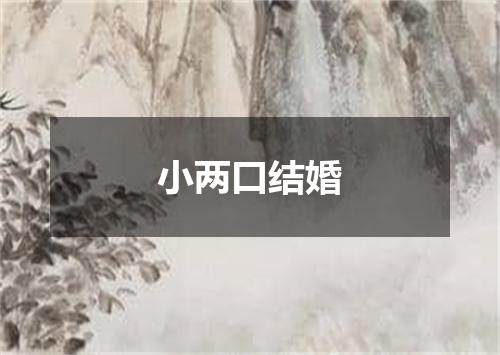 小两口结婚