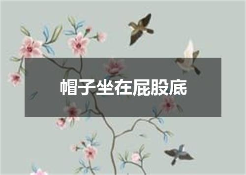 帽子坐在屁股底