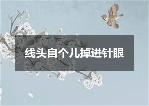 线头自个儿掉进针眼