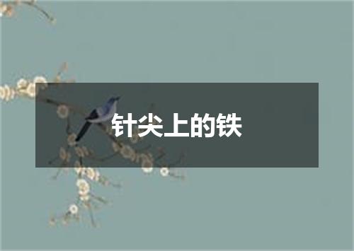 针尖上的铁