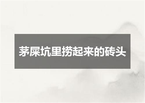 茅屎坑里捞起来的砖头