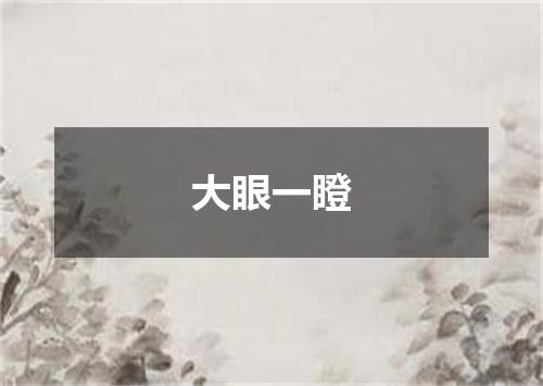 大眼一瞪