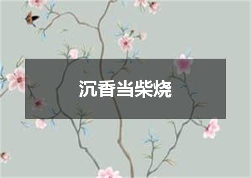 沉香当柴烧