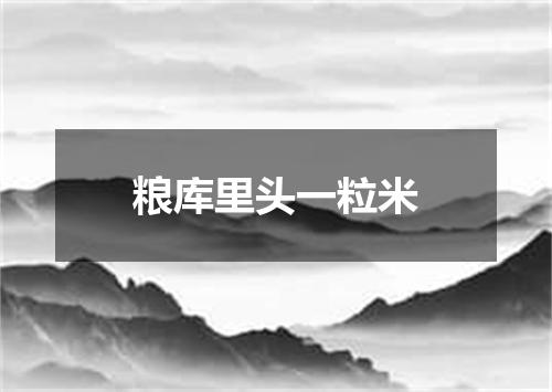 粮库里头一粒米