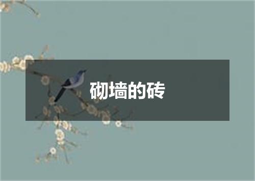 砌墙的砖