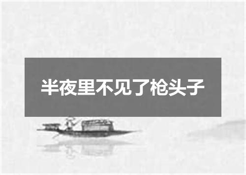 半夜里不见了枪头子