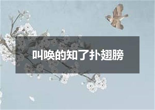 叫唤的知了扑翅膀