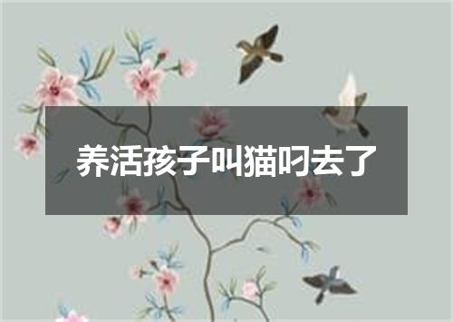 养活孩子叫猫叼去了