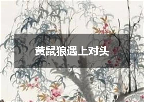 黄鼠狼遇上对头