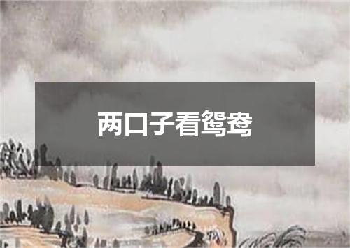 两口子看鸳鸯