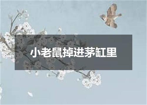 小老鼠掉进茅缸里