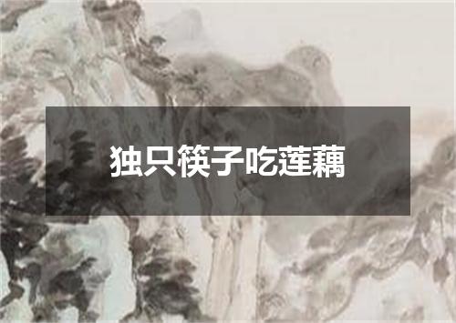 独只筷子吃莲藕