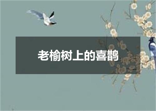 老榆树上的喜鹊
