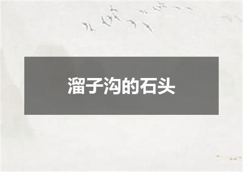 溜子沟的石头