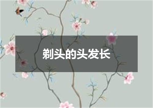 剃头的头发长