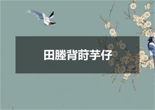 田塍背莳芋仔