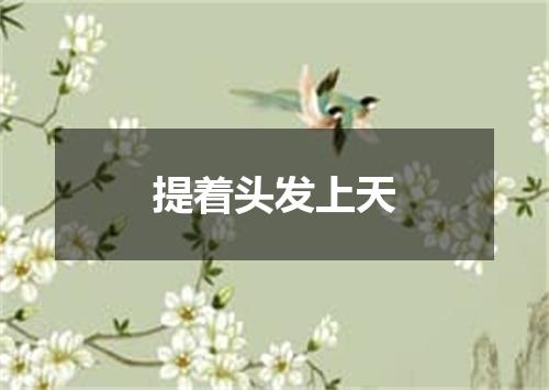 提着头发上天