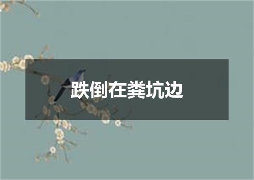 跌倒在粪坑边