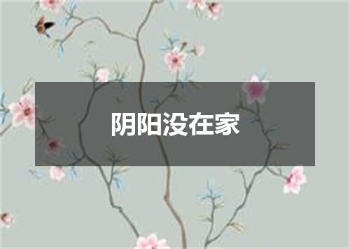 阴阳没在家