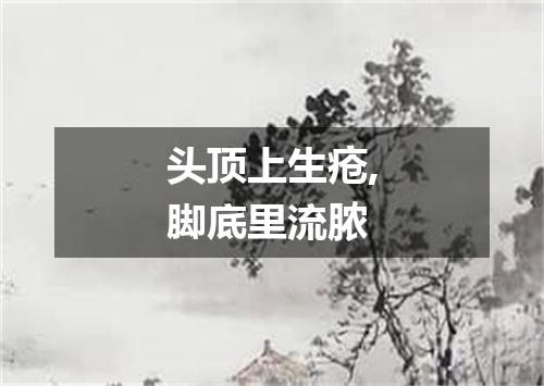 头顶上生疮,脚底里流脓
