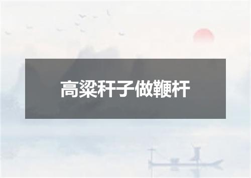 高粱秆子做鞭杆