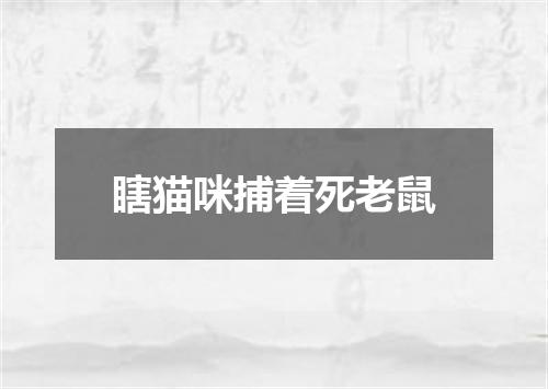 瞎猫咪捕着死老鼠