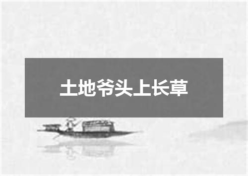 土地爷头上长草