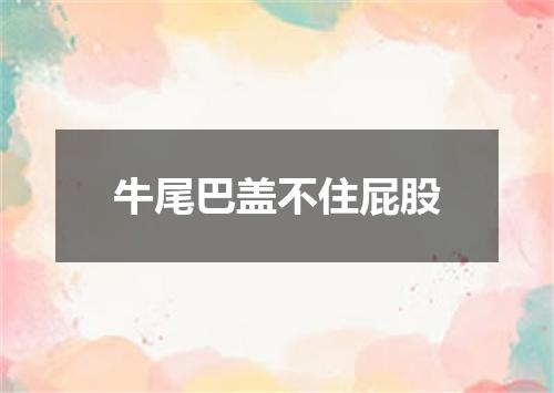 牛尾巴盖不住屁股