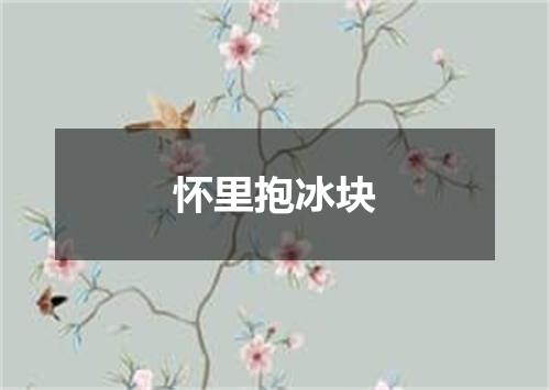 怀里抱冰块