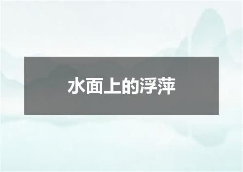 水面上的浮萍