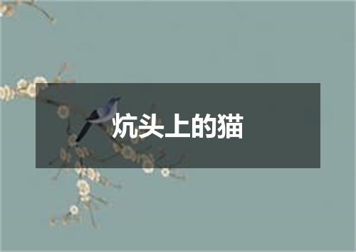 炕头上的猫