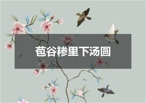 苞谷糁里下汤圆